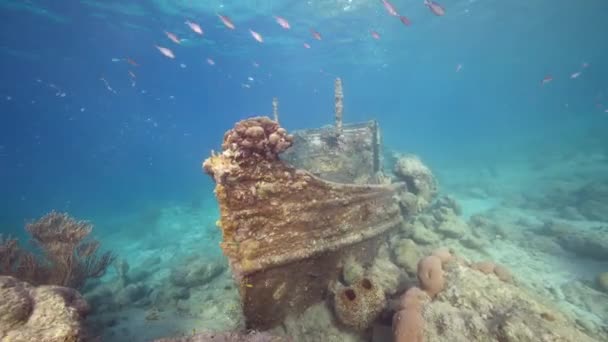 Karayip Denizi Nin Mercan Kayalıklarında Römorkörlü Enkaz Curacao — Stok video