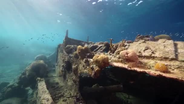 Havslandskap Med Tugboat Vrak Korallrevet Karibiska Havet Curacao — Stockvideo