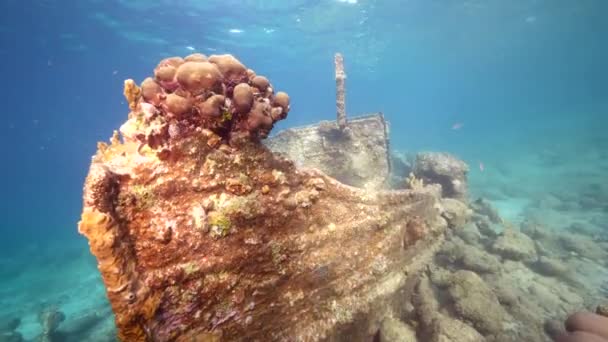 Seascape Tugboat Wreck Coral Reef Caribbean Sea Curacao — Stock Video