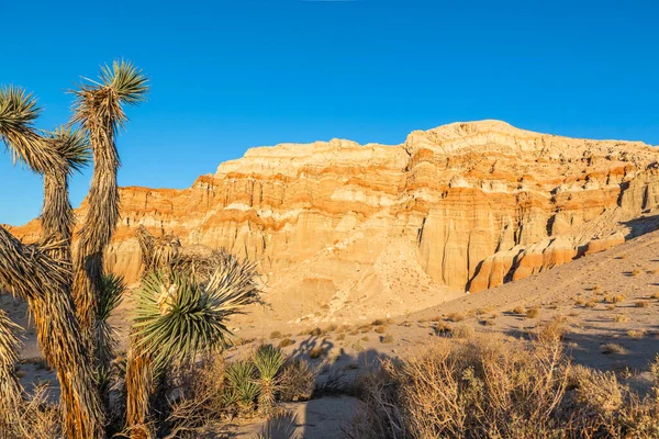 Τοπίο Κόκκινα Βράχια Και Πέτρινη Έρημο Κοντά Mojave Καλιφόρνια Στα — Φωτογραφία Αρχείου