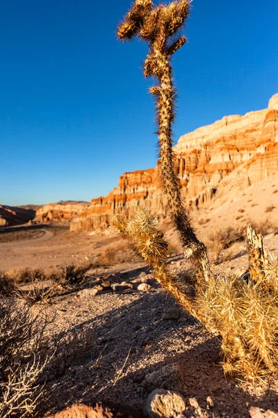 Пейзаж Красными Скалами Каменной Пустыней Недалеко Мохаве Калифорния Западе Сша — стоковое фото
