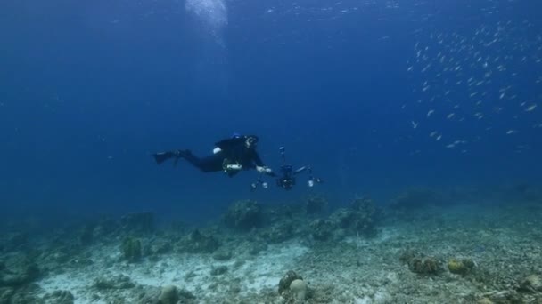 专业潜水员 水下摄影师在库拉索岛周围加勒比海珊瑚礁拍摄 — 图库视频影像