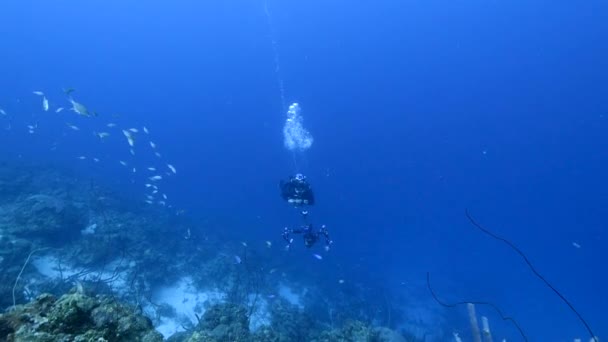 Plongeur Professionnel Cinéaste Sous Marin Filmant Dans Récif Corallien Mer — Video