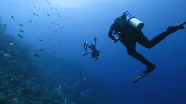 Επαγγελματίας Δύτης Υποθαλάσσιος Κινηματογραφιστής Κοραλλιογενή Ύφαλο Της Καραϊβικής Θάλασσας Γύρω — Αρχείο Βίντεο