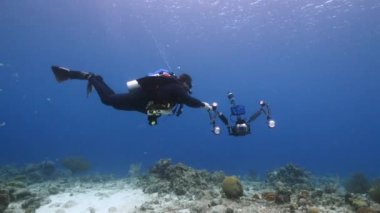 Profesyonel dalgıç, sualtı görüntü yönetmeni Curacao çevresindeki Karayip Denizi 'nin mercan resifinde çekim yapıyor.