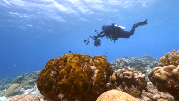 Professionell Dykare Undervattensfilmare Som Filmar Korallrev Karibiska Havet Runt Curacao — Stockvideo