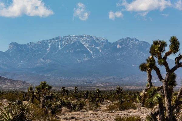 Landschaft Mit Blick Auf Die Wüste Und Umgebung Des Mount — Stockfoto