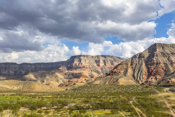 Τοπίο Θέα Βουνά Και Λιβάδια Κοντά Στο Virgin River Canyon — Φωτογραφία Αρχείου