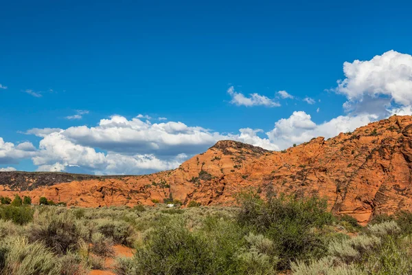 Paisaje Con Vistas Las Montañas Pastizales Snow Canyon State Park —  Fotos de Stock