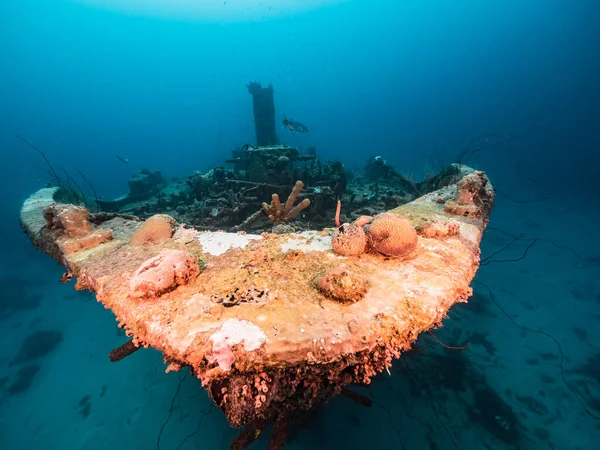 Havslandskap Med Vrak Olika Fiskar Koraller Och Svamp Korallrevet Karibiska — Stockfoto