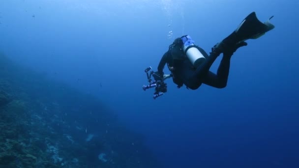 Professionele Duiker Onderwater Cinematograaf Filmend Koraalrif Van Caribische Zee Rond — Stockvideo