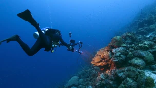 Buceador Profesional Cinematógrafo Submarino Filmando Arrecife Coral Del Mar Caribe — Vídeo de stock