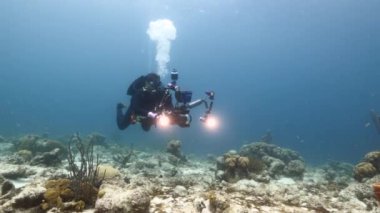 Profesyonel dalgıç, sualtı görüntü yönetmeni Curacao çevresindeki Karayip Denizi 'nin mercan resifinde kendi portresini çekiyor.