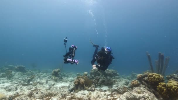 Buceador Profesional Cinematógrafo Submarino Filmando Autorretrato Arrecife Coral Del Mar — Vídeo de stock