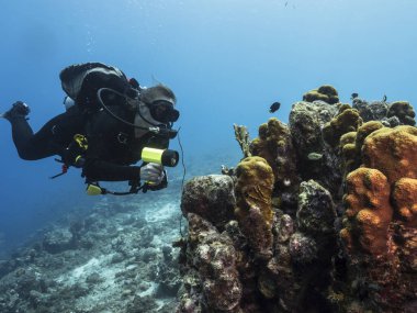 Karayip Denizi 'nin mercan kayalıklarında dalgıç Curacao ile deniz manzarası