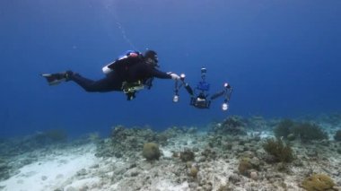 Scuba diver is swimming in the coral reef of the Caribbean Sea around Curacao