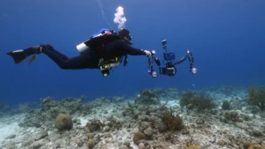 Scuba diver is swimming in the coral reef of the Caribbean Sea around Curacao
