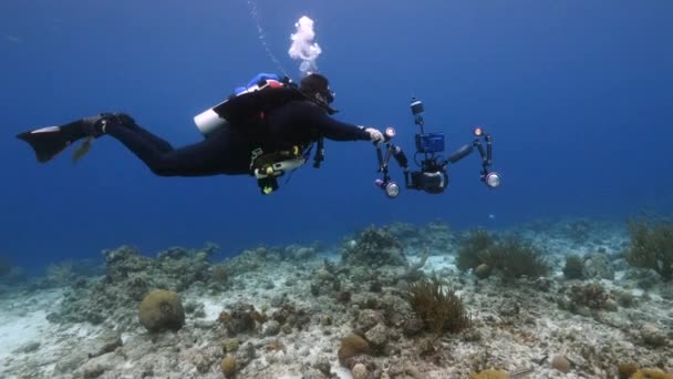Scuba Diver Swimming Coral Reef Caribbean Sea Curacao — 비디오