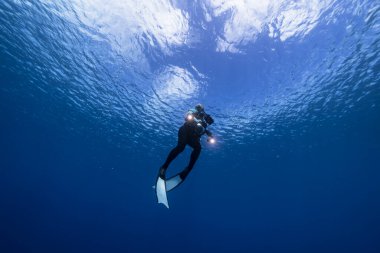 Serbest dalgıç Curacao çevresindeki Karayip Denizi 'nin mercan kayalıklarında yüzüyor.