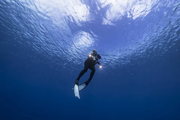 Mergulhador Livre Está Nadando Recife Coral Mar Caribe Torno Curaçao — Fotografia de Stock