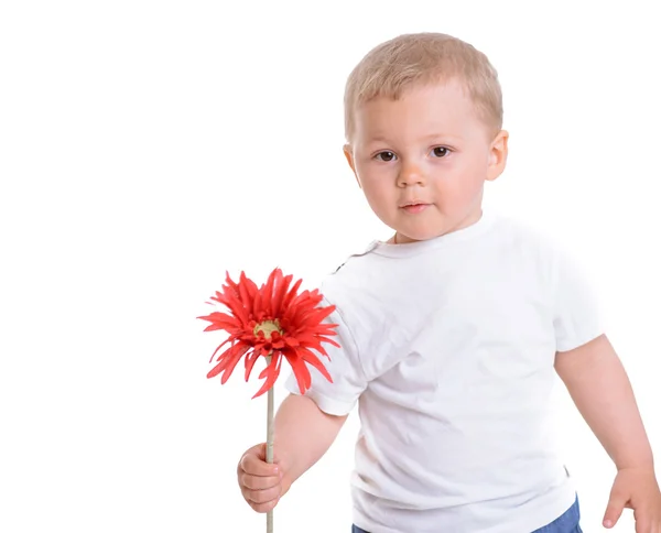 花を持つ小さな男の子 — ストック写真