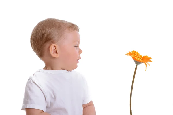 Kleiner Junge mit Blumen — Stockfoto