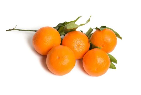 Clementinas em fundo branco — Fotografia de Stock