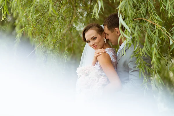 Pareja de boda en el parque —  Fotos de Stock