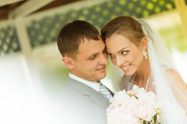 Pareja de boda en el parque —  Fotos de Stock