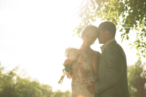 Pareja de boda en el parque —  Fotos de Stock