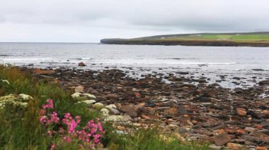 Körfez skaill, orkney Adaları, İskoçya'nın kayalık plaj