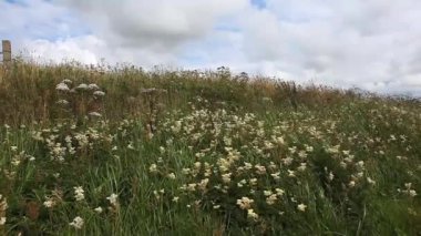 sessiz loch ve büyük gökyüzü orkney Adaları, İskoçya