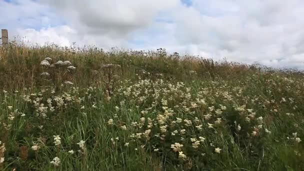 Een rustige loch en grote hemel van de orkney-eilanden, Schotland — Stockvideo