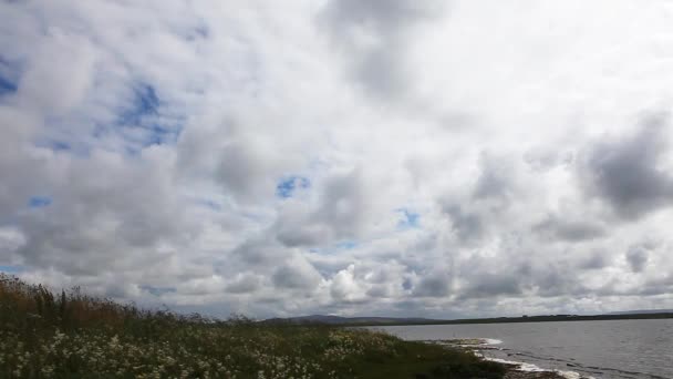 Les îles Orcades, Écosse et un grand ciel . — Video