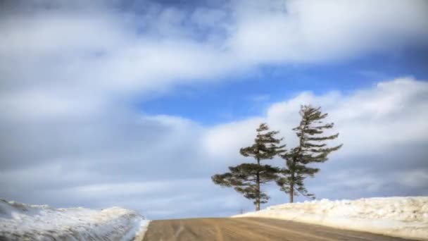 Un timelapse de un árbol solitario por un camino de campo cubierto de nieve — Vídeo de stock