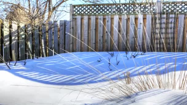 Sombras se movem através da neve — Vídeo de Stock