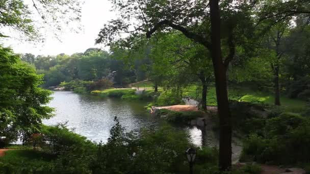 Una vista del estanque en Central Park, Nueva York — Vídeos de Stock