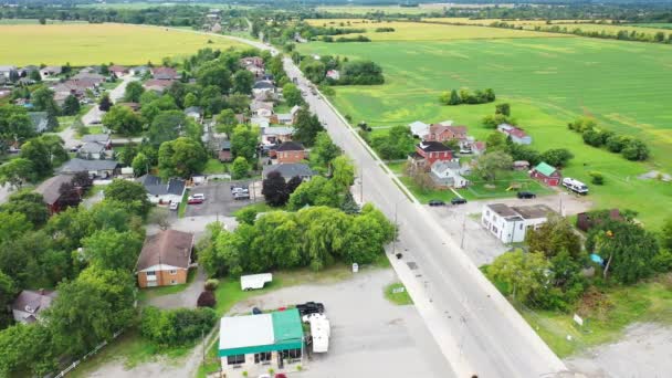 Aerial Scene Jarvis Ontario Canada — Stock Video