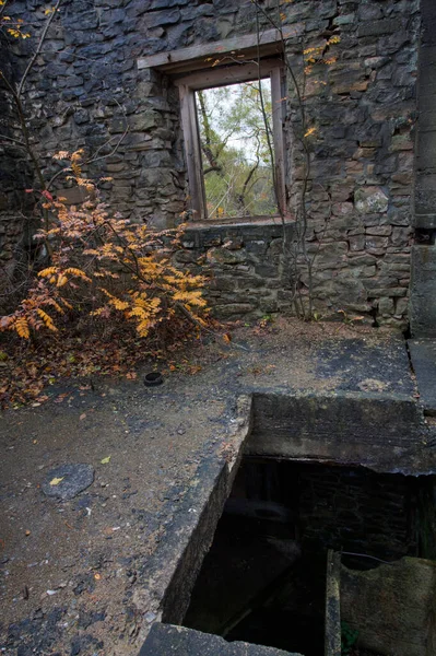 Een Verticaal Van Ruïnes Van Darnley Grist Mill Ontario Canada — Stockfoto