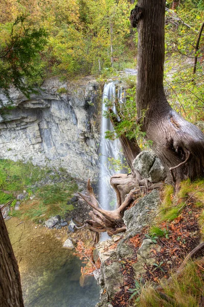 Vertical Eugenia Falls Ontario Canada — Stock Photo, Image