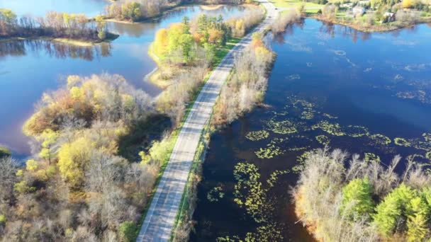 Vue Aérienne Une Forêt Automne Colorée — Video