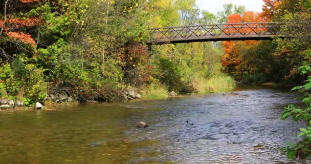 View Stream Pedestrian Bridge Autumn — Video Stock