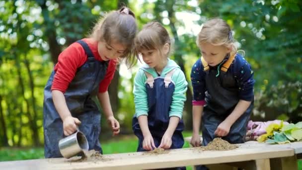 森の幼稚園 ハッピープリスクールや学校のグループの子供たちは 公園や森の湿地で彫刻粘土を再生します 屋外の小さな子供は泥で遊ぶのが楽しい サマーキャンプ好奇心旺盛な子供のレジャー自然 — ストック動画