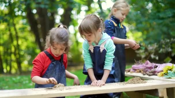 森の幼稚園 ハッピープリスクールや学校のグループの子供たちは 公園や森の湿地で彫刻粘土を再生します 屋外の小さな子供は泥で遊ぶのが楽しい サマーキャンプ好奇心旺盛な子供のレジャー自然 — ストック動画