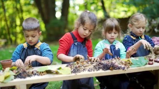 森の幼稚園 ハッピープリスクールや学校のグループの子供たちは 公園や森の湿地で彫刻粘土を再生します 屋外の小さな子供は泥で遊ぶのが楽しい サマーキャンプ好奇心旺盛な子供のレジャー自然 — ストック動画