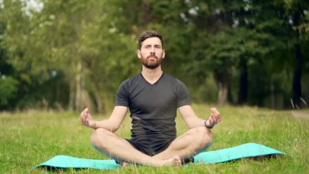 Healthy Handsome Caucasian Bearded Man Meditating Park Sitting Lotus Pose — Stock Video