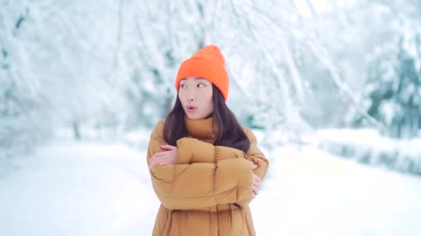 Mladá Asijská Dívka Zamrzá Parku Čeká Rande Zimním Sněhovém Dni — Stock video