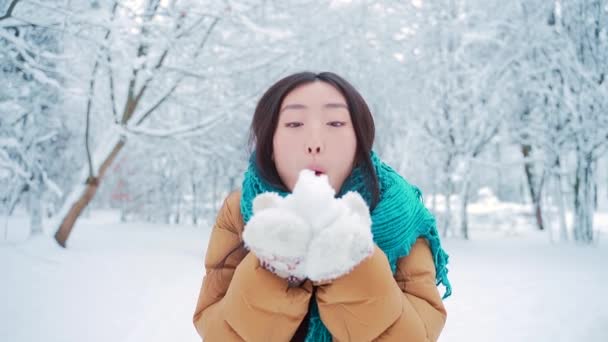 Beauty Winter Asian Girl Blowing Snow Frosty Winter Park Outdoors — Stockvideo