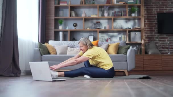 Senior Activa Mujer Pelo Gris Haciendo Ejercicio Aeróbic Fitness Estiramiento — Vídeo de stock