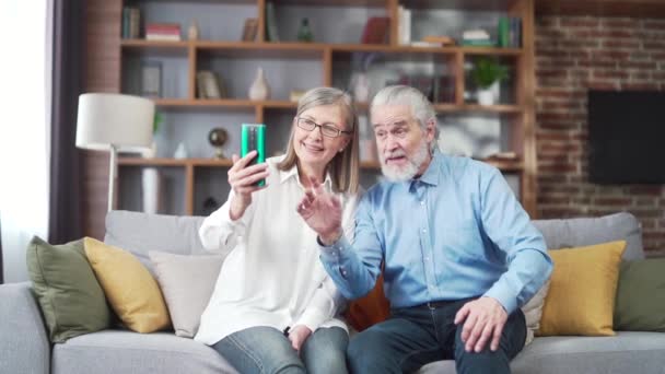 Couple Retraités Âgés Heureux Grands Parents Aux Cheveux Gris Communiquent — Video